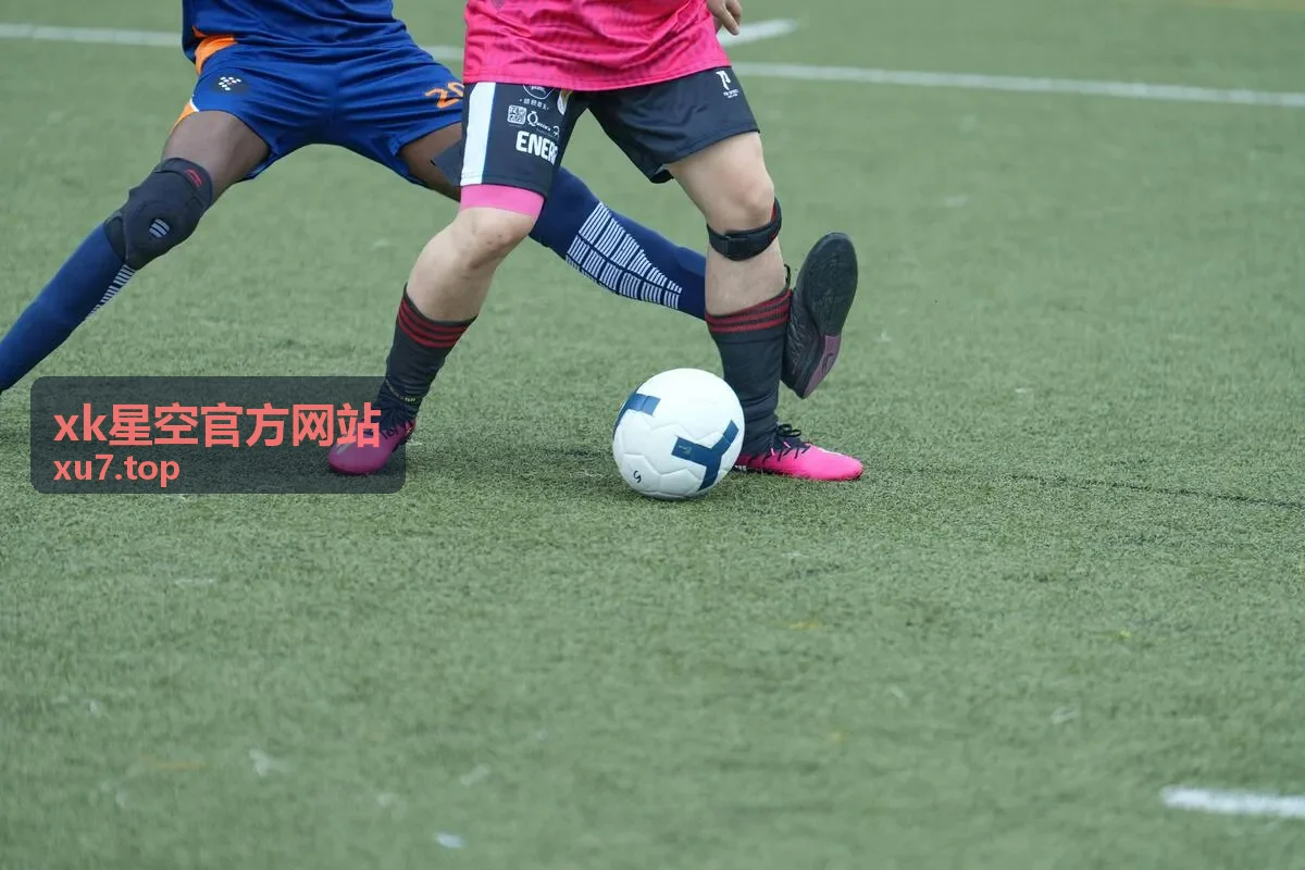 xk星空官方网站官方案例动态